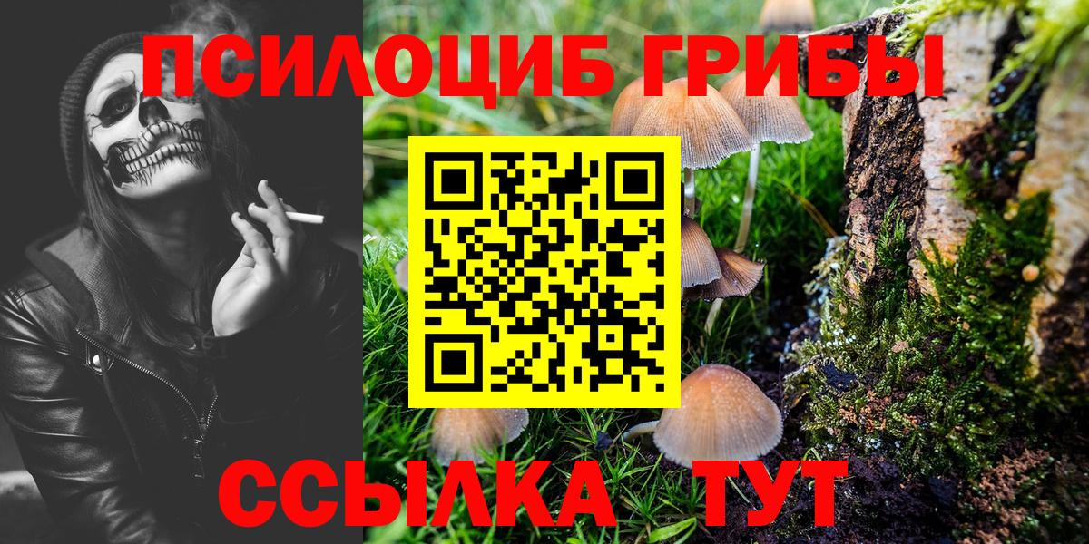 Новочебоксарск  Псилоцибиновые грибы Magic Shrooms  Псилоцибиновые грибы мухоморы  Вход с VPN 